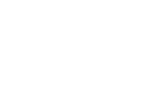 HackenSecurity partner